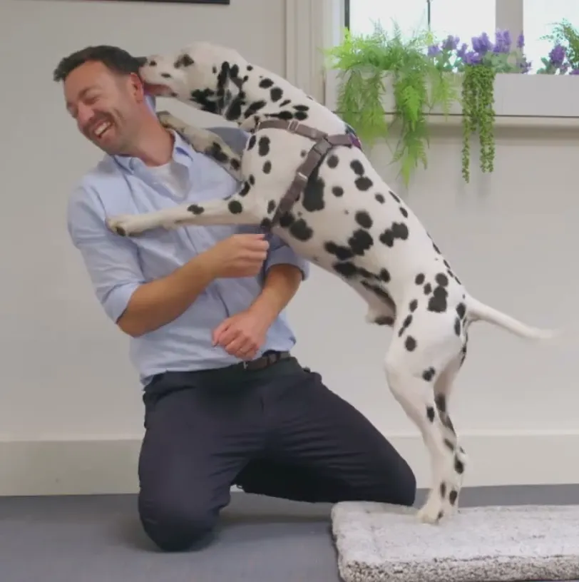Adam Daines training a Dalmatian