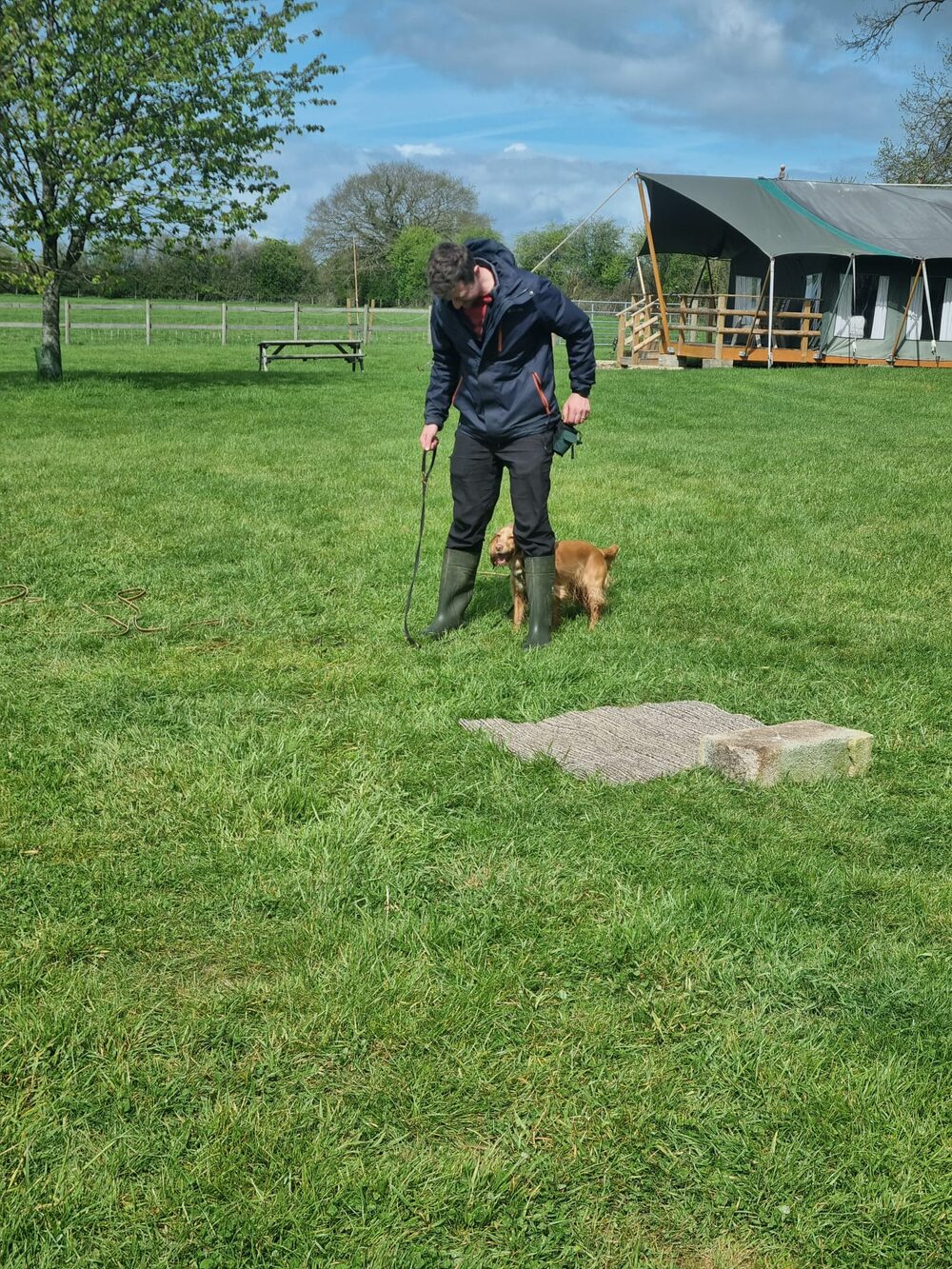A handler training a dog on a lead in the field at Mill Farm, with a glamping lodge behind