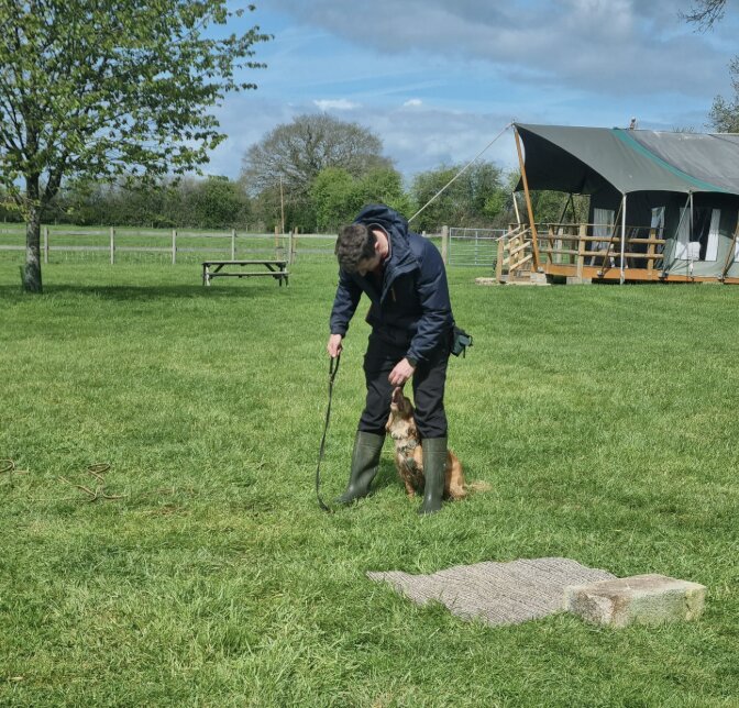 A handler training a dog one-to-one in the field at Mill Farm