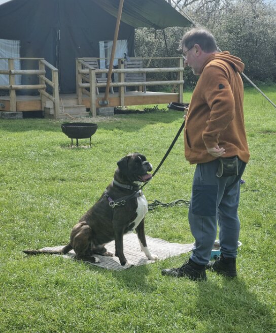 A handler training a dog in a calm session outdoors